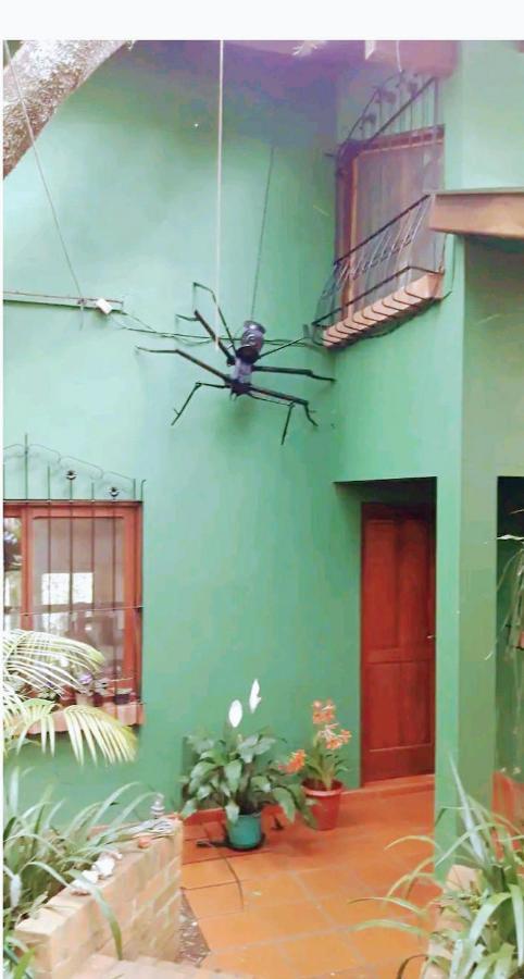 Апартаменты Jardin De Naipi Пуэрто-Игуасу Номер фото